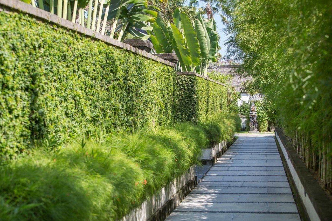 Villa Air Bali Boutique Resort And Spa Petitenget  Exterior foto
